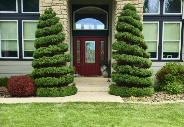 Outdoor Living Spaces